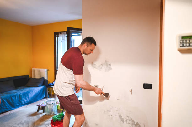 Best Best Mold Removal Companies  in White Plains, NY