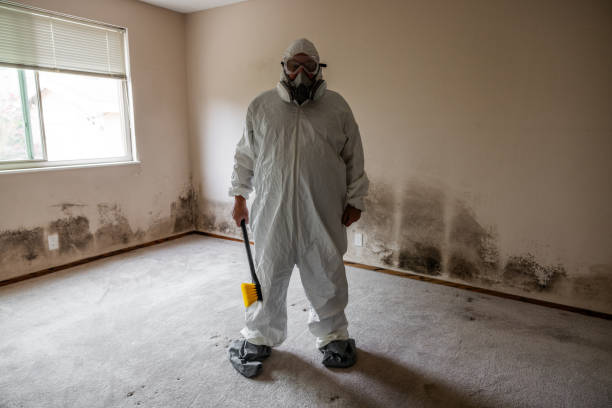 Best Commercial Mold Removal  in White Plains, NY